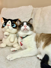 Peach and Pumpky - Coconut the Standing Cat