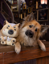 Nóri Plush