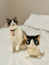 Peach and Pumpky - Coconut the Standing Cat
