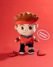Ashton Talking Plush