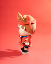 Ashton Talking Plush