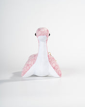 Sakura Nessie Plush & Hoodie Bundle