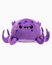 Jelly