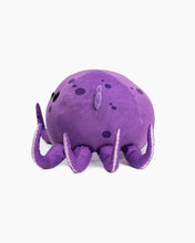 Jelly