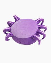 Jelly
