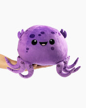 Jelly