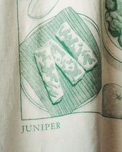 Juniper Plates Linen Shirt