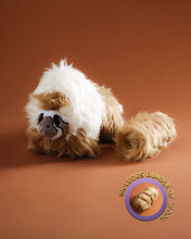 Plush Bundle