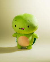 MAIZEN™ MIKEY TURTLE Plush