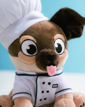 Chef Hudson & Chef Rolo Plushies Bundle