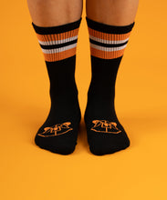 Fundy Rug + Socks Bundle