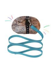 Pet Rock Plush