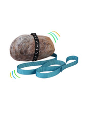 Pet Rock Plush