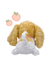 Beanie Plush