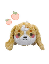 Beanie Plush