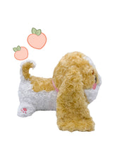 Beanie Plush