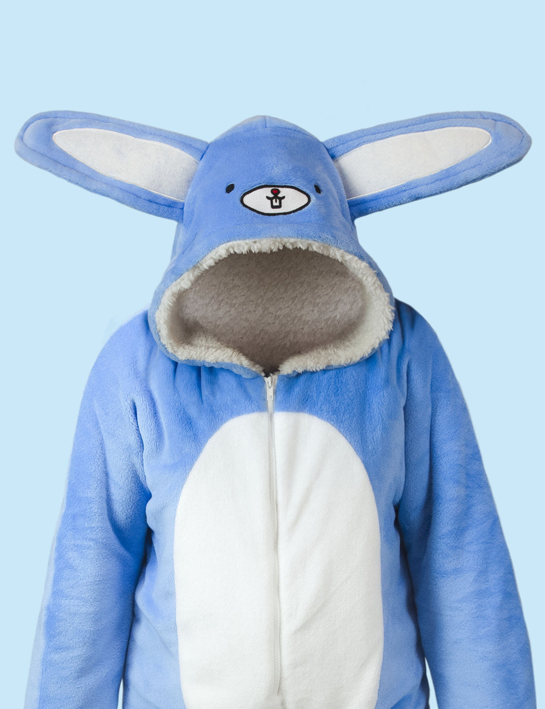 Drake Sleepover Onesie