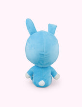 Sleepover Drake Plushy + Pin