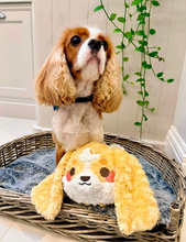 Beanie Plush
