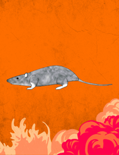 Squeaky Rat Plush (Pre-Order)