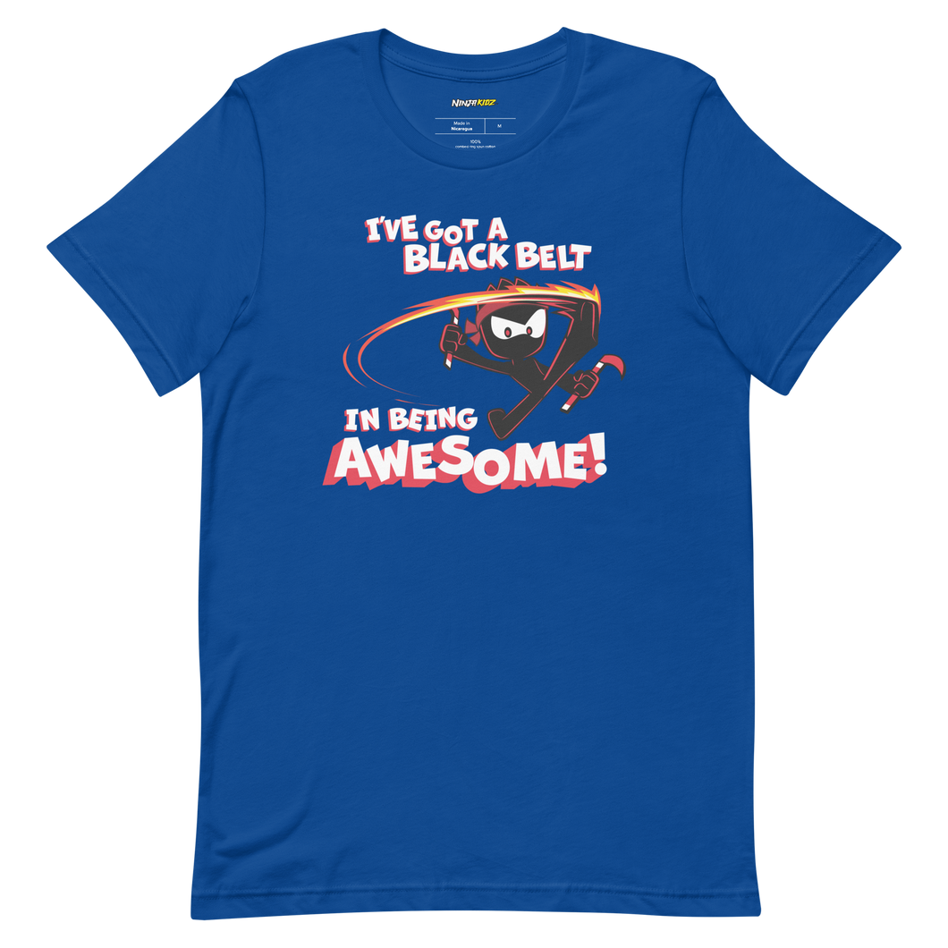 Black Belt in Being Awesome Unisex t-shirt